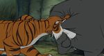 Shere Khan bites Baloo in the rump