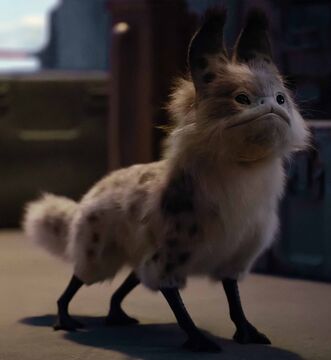 Loth cat Disney Wiki Fandom