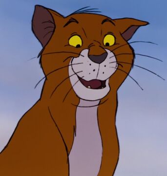 Picture of Thomas O'Malley