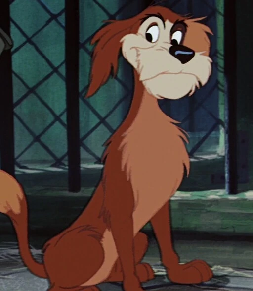 por qué el perro se llama vagabundo