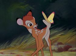 Bambi in the original film.