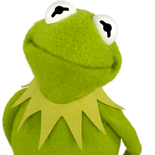 De eigenaar Raad Is Kermit de Kikker | Disney wiki | Fandom