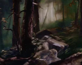 Bosque-Bambi
