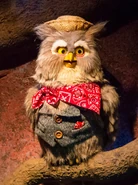 Br'er Owl in Splash Mountain at Tokyo Disneyland