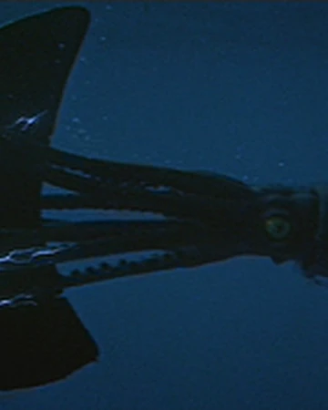 Giant Squid 20 000 Leagues Under The Sea Disney Wiki Fandom