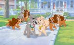 Angel with Scamp, Annette, Collette, and Danielle, and Lady and Tramp