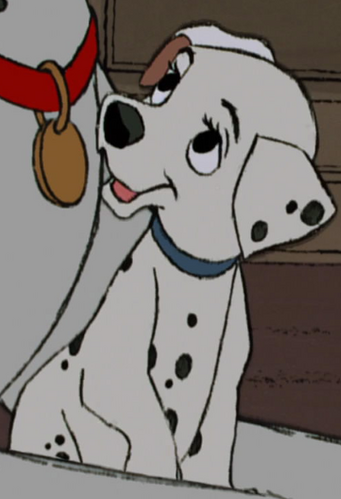 Profile-Penny