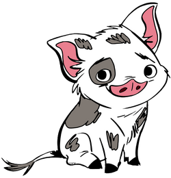 Pua Moana Gallery Disney Wiki Fandom
