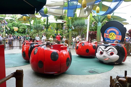 Francis Ladybug Boogie