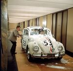 Herbie in the hallways
