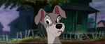 Lady-tramp-disneyscreencaps.com-5970