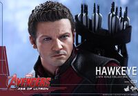 Hawkeye AOU Hot Toys 08