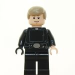 Luke Skywalker (LEGO Star Wars: Droid Tales, The LEGO Star Wars Holiday Special, and LEGO Star Wars Terrifying Tales)