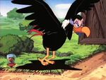 Magica Buzzard