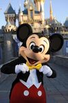 Mickey Mouse Disneyland Parks