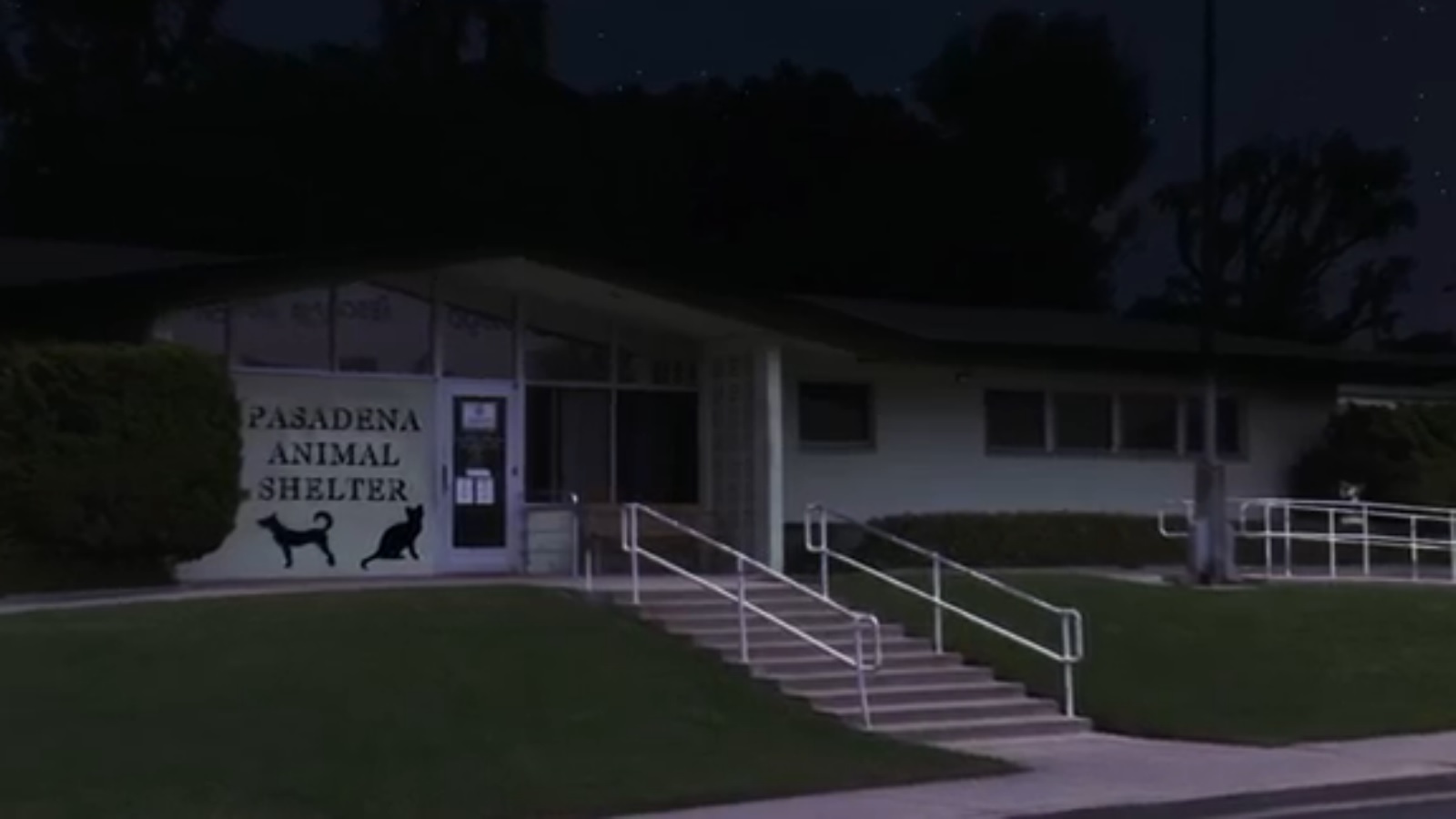 Pasadena Animal Shelter | Disney Wiki | Fandom Pasadena Animal Shelter | Disney Wiki | Fandom