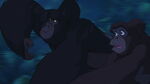 Kerchak and Kala rush to save their son from Sabor