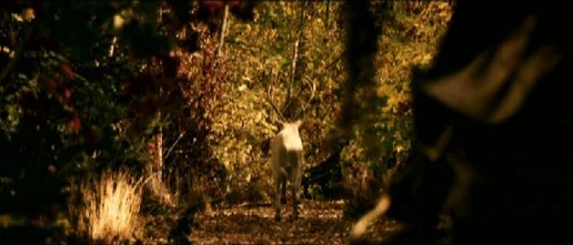 The Chronicles of Narnia - The Lion, the Witch and the Wardrobe - White Stag
