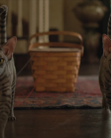 What A Shame Disney Wiki Fandom Lyrics © walt disney music company. what a shame disney wiki fandom