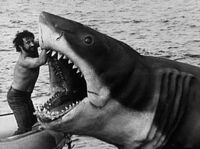 Jaws-bruce