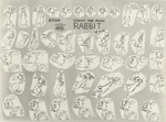 Rabbit Model Sheet.jpeg (645 KB) Rabbit model sheet