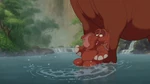 Tantor trying to warn his mother and the elephants.
