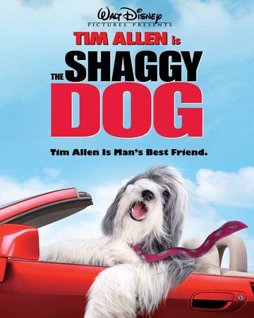 the shaggy dog 2006 film disney