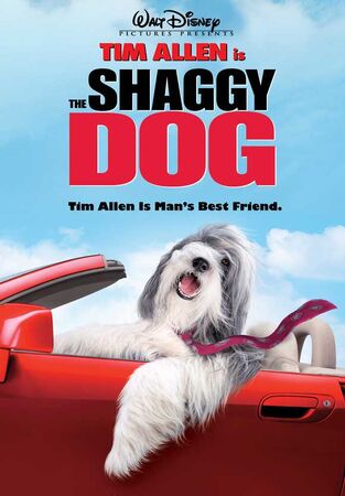 Shaggy shawn dog cheap