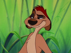 Timon Series