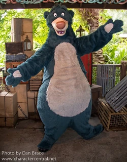Baloo posing for a photo at one of the Disney Parks.
