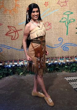 Disney Park Pocahontas