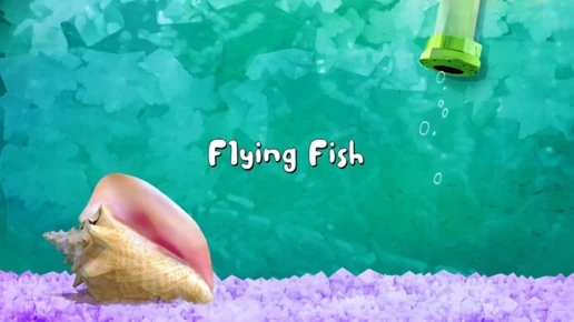 Flying Fish 001