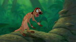 Timon, baffled by Simba and Nala realizing each other.