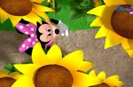 Minnie In Sunflowers.jpg.jpg (214 KB) Minnie in the sunflowers.