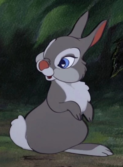 thumper and miss bunny gif