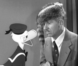 Nash Arguing With Donald