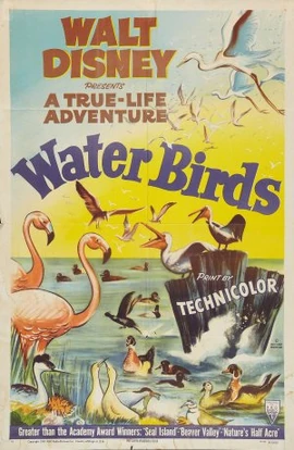 Water Birds FilmPoster