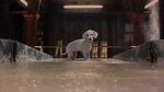 102-dalmatians-disneyscreencaps.com-9986