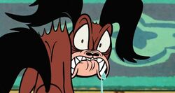 Fifi growls at Mickey