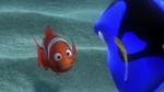 Dory: "Will you quit it?! I'm trying to swim here. The ocean isn't big enough for you?"