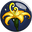 GOLDEN FLOWER.png