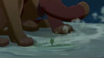 Kovu shows Kiara a plant growing in the sand like Simba showed him before