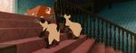 Lady-tramp-disneyscreencaps com-3923