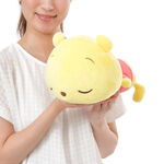 Pooh 2 soft and round stuffed toy