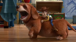 Buster (Toy Story 2 and Toy Story 3)