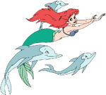 Ariel-dolphins