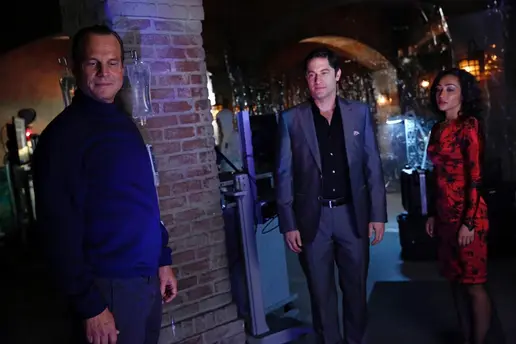 Centipede Project-Providence