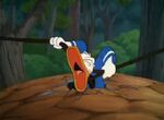 Donald Duck All In A Nutshell (1949)20