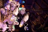 ImagesCAOQP3ZF.jpg (11 KB)