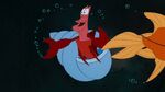 Sebastian's introduction